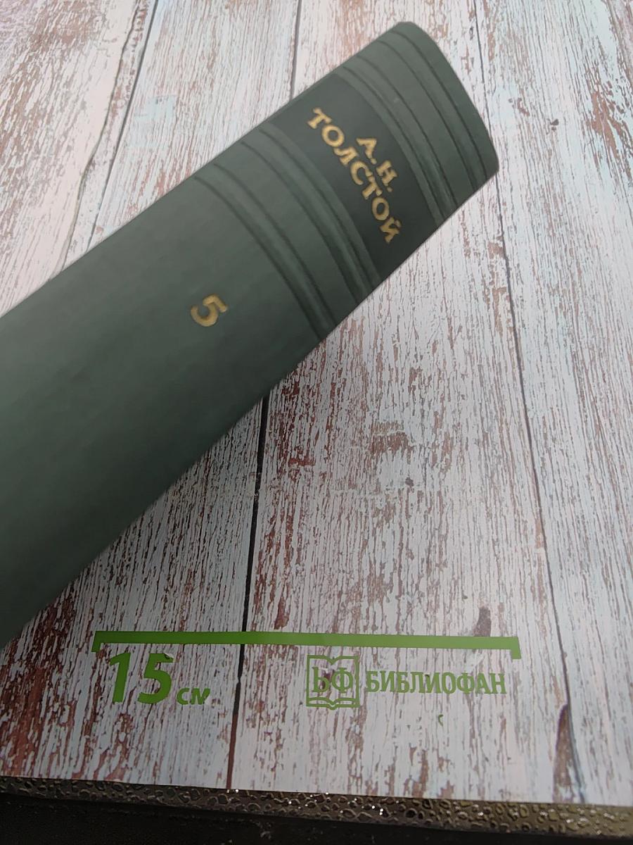 Петр Первый. Том V