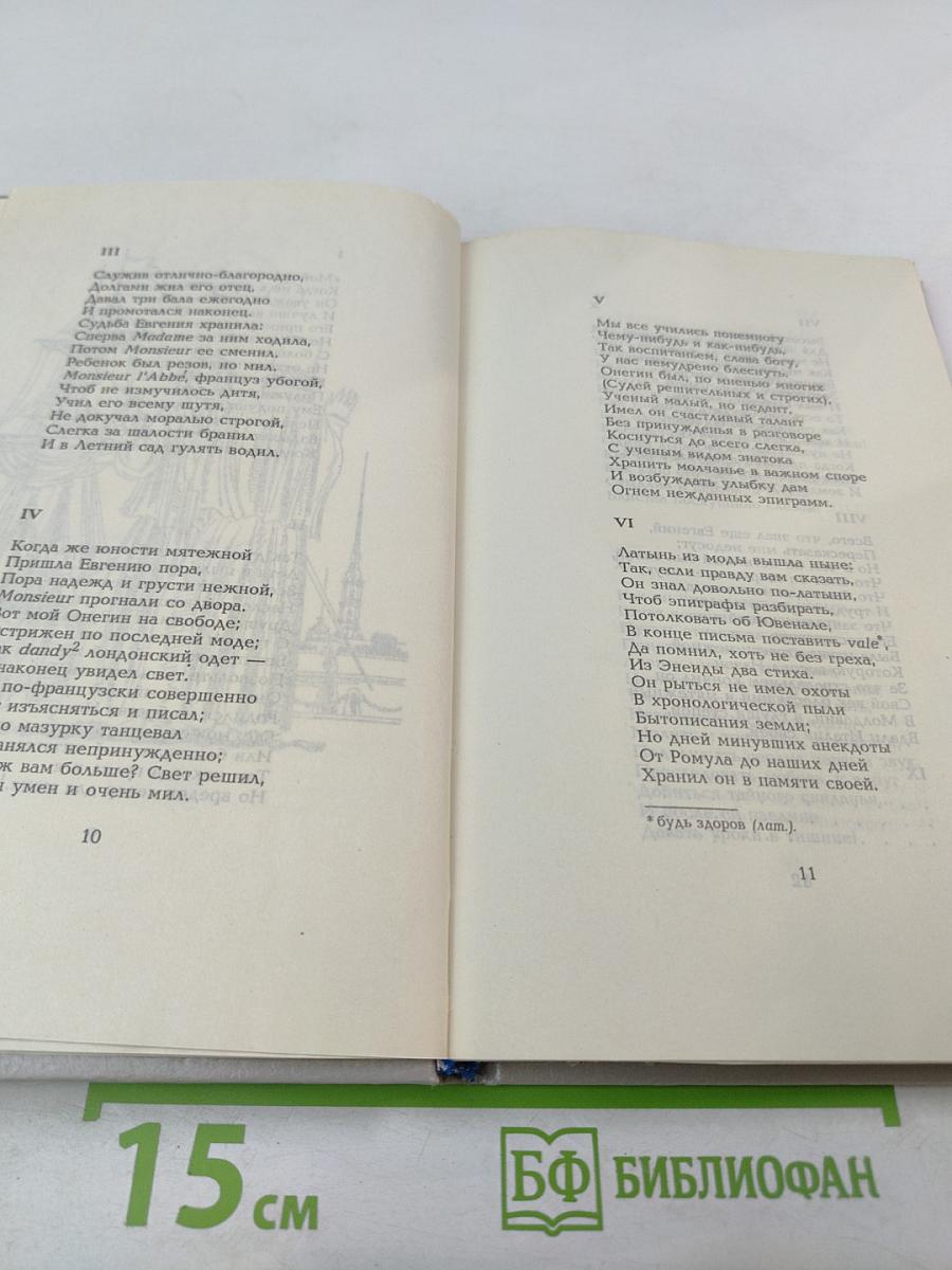 Евгений Онегин