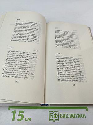 Евгений Онегин