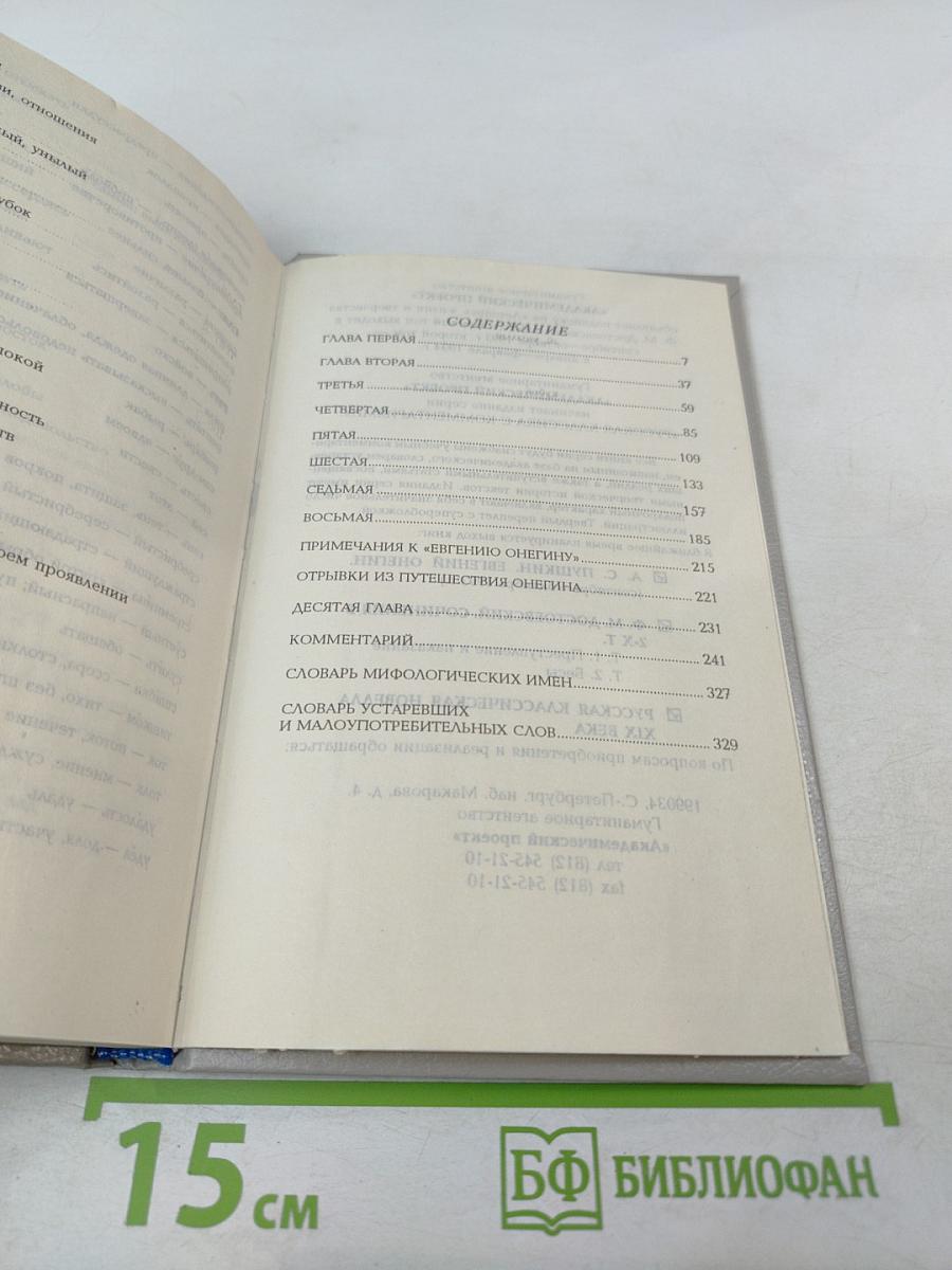 Евгений Онегин