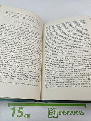 Собрание сочинений. Том десятый. Повести и рассказы (1872–1886)