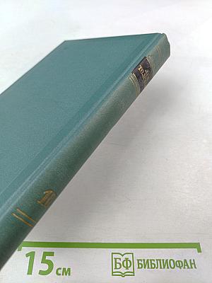 Собрание сочинений. Том десятый. Повести и рассказы (1872–1886)
