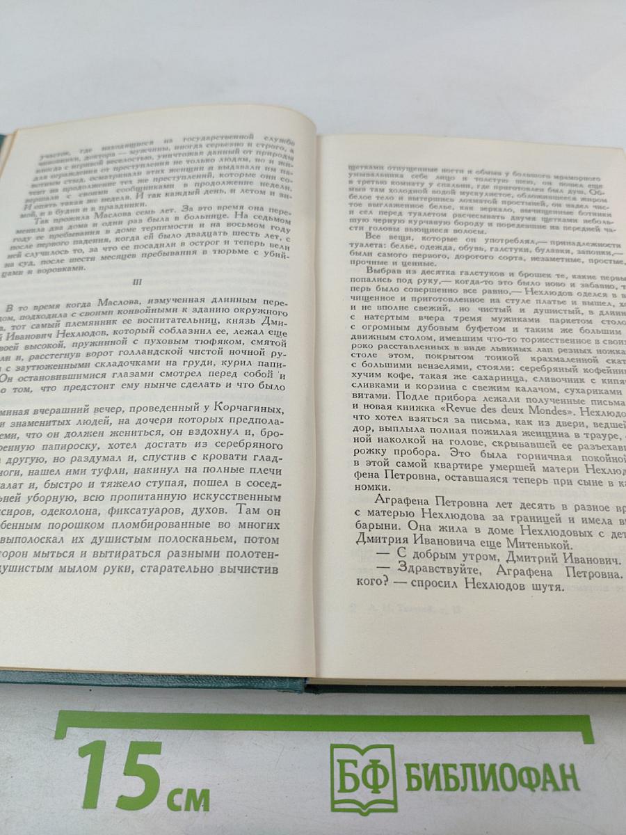 Воскресение. Том тринадцатый