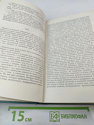 Воскресение. Том тринадцатый