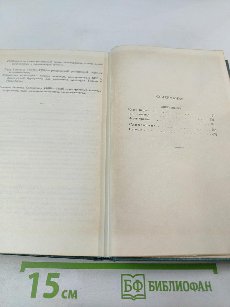 Воскресение. Том тринадцатый