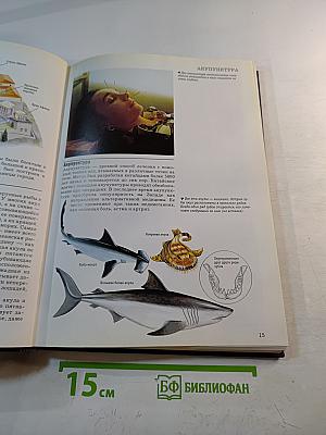 Иллюстрированная энциклопедия для детей, 1 том (АБАК-ГИРОСКОП)