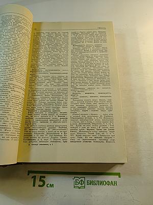 Словарь синонимов русского языка, Том первый А-Н