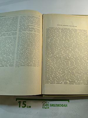 Словарь синонимов русского языка, Том первый А-Н