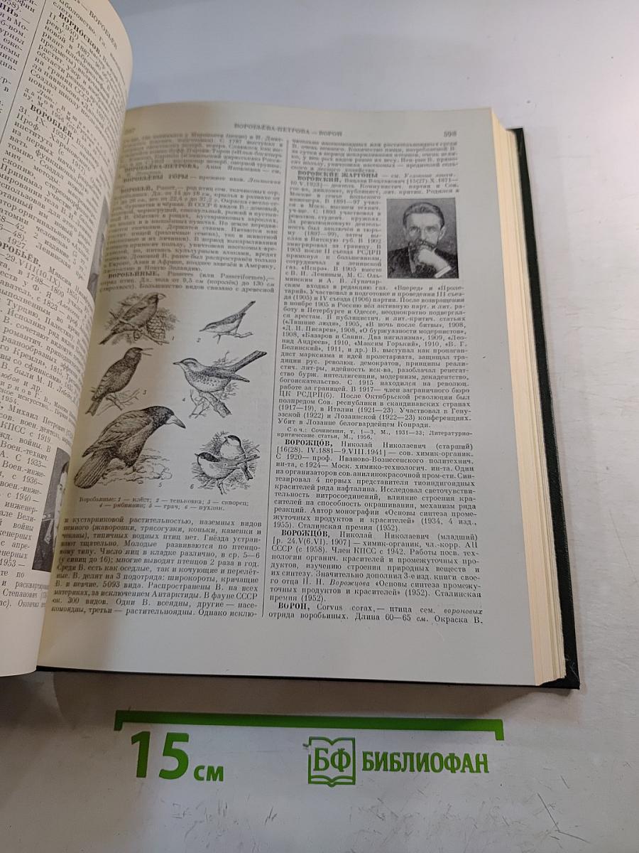 Малая Советская Энциклопедия. Том 2. Буковые - Горняк