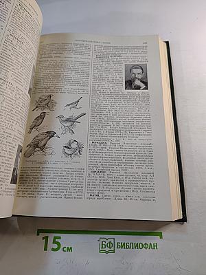 Малая Советская Энциклопедия. Том 2. Буковые - Горняк
