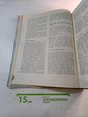 Производство пирожных и тортов