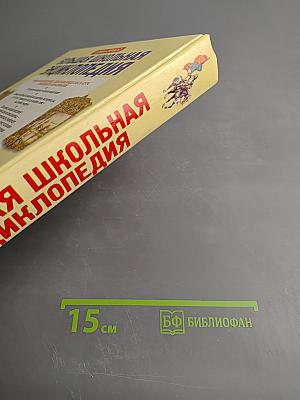 Большая школьная энциклопедия, 6–11 классы, Том 1