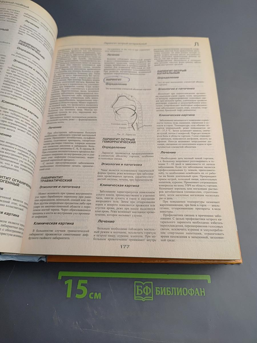 Большая домашняя медицинская энциклопедия