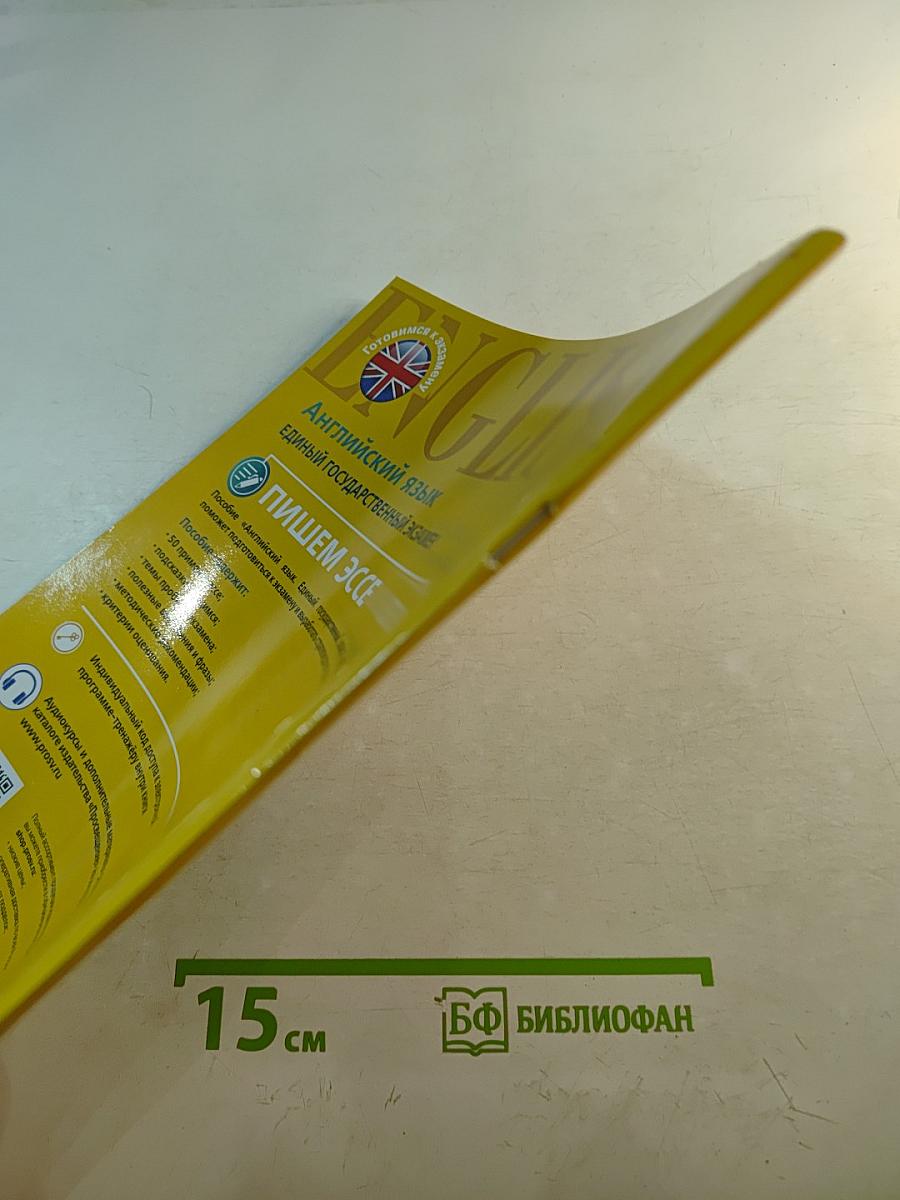 Английский язык. Единый государственный экзамен. Пишем эссе