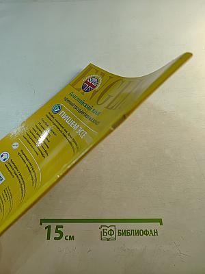 Английский язык. Единый государственный экзамен. Пишем эссе