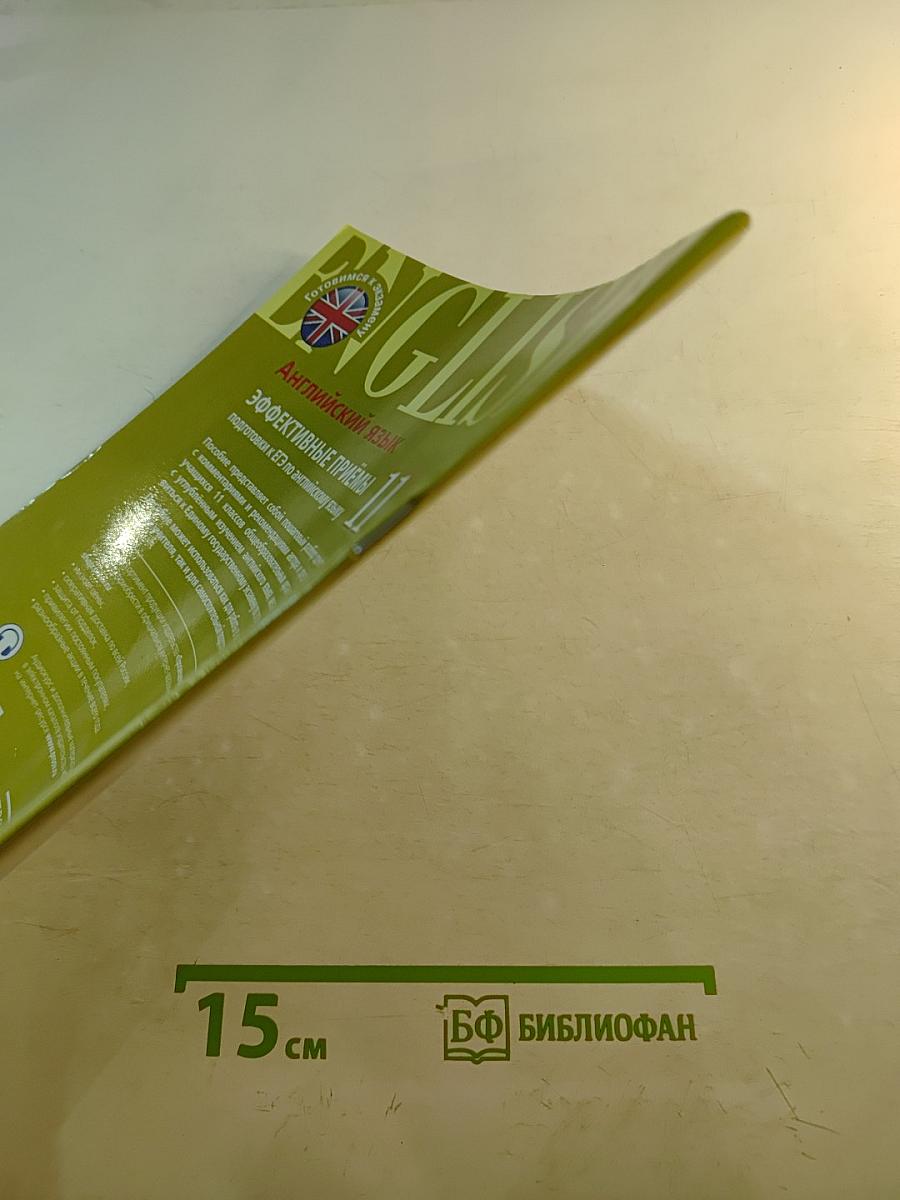 Английский язык. Эффективные приёмы подготовки к ЕГЭ по английскому языку 11 класс