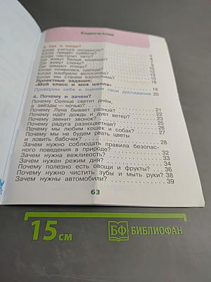 Окружающий мир. Рабочая тетрадь. 1 класс. Часть 2