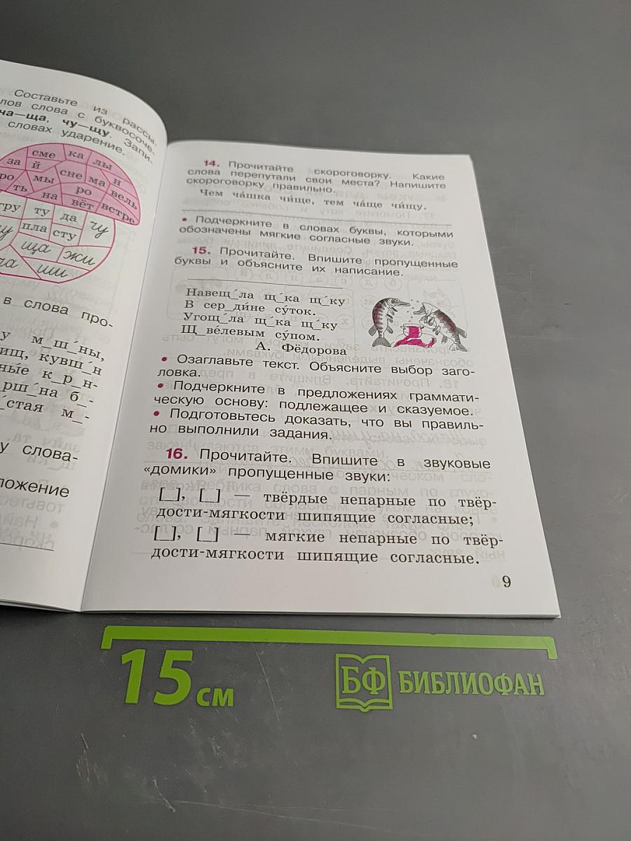 Русский язык. Рабочая тетрадь. 2 класс. Часть 2