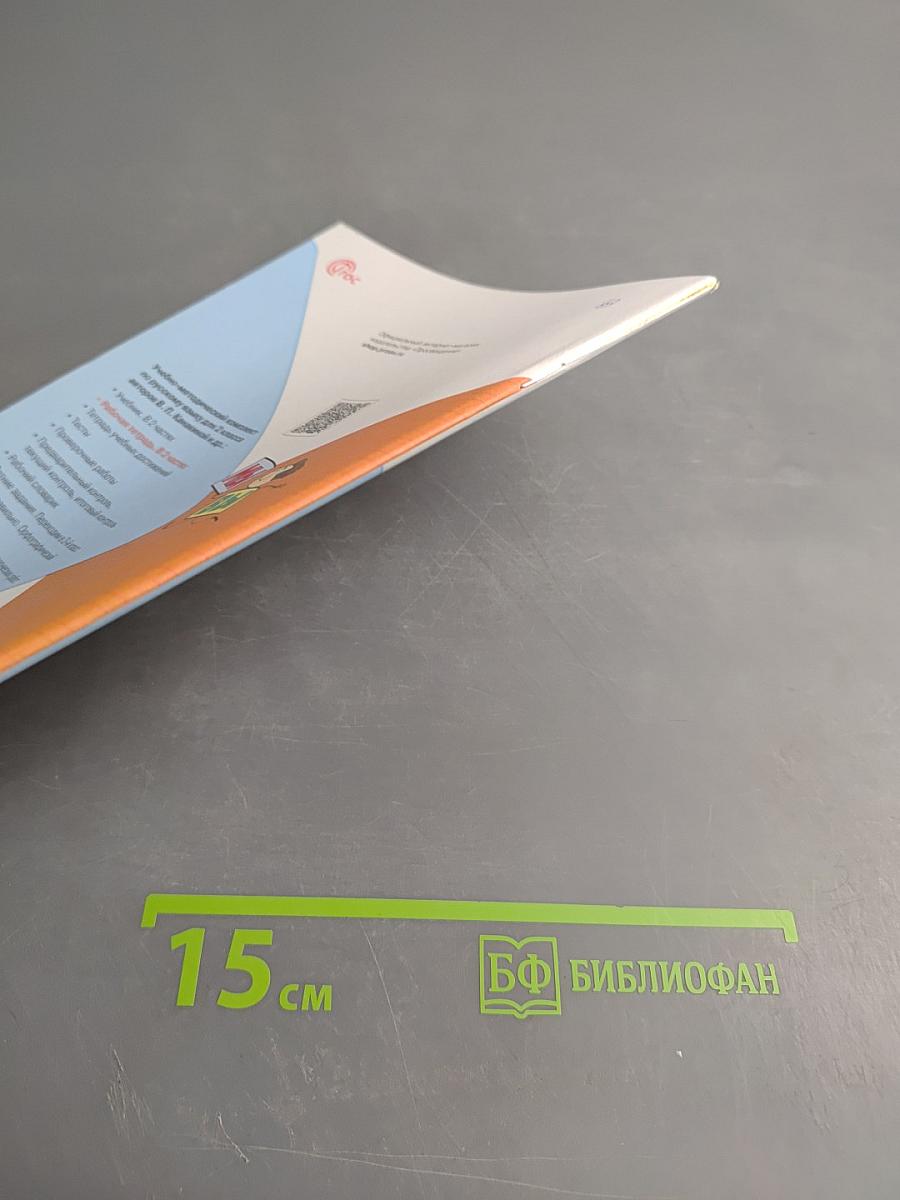 Русский язык. Рабочая тетрадь. 2 класс. Часть 2