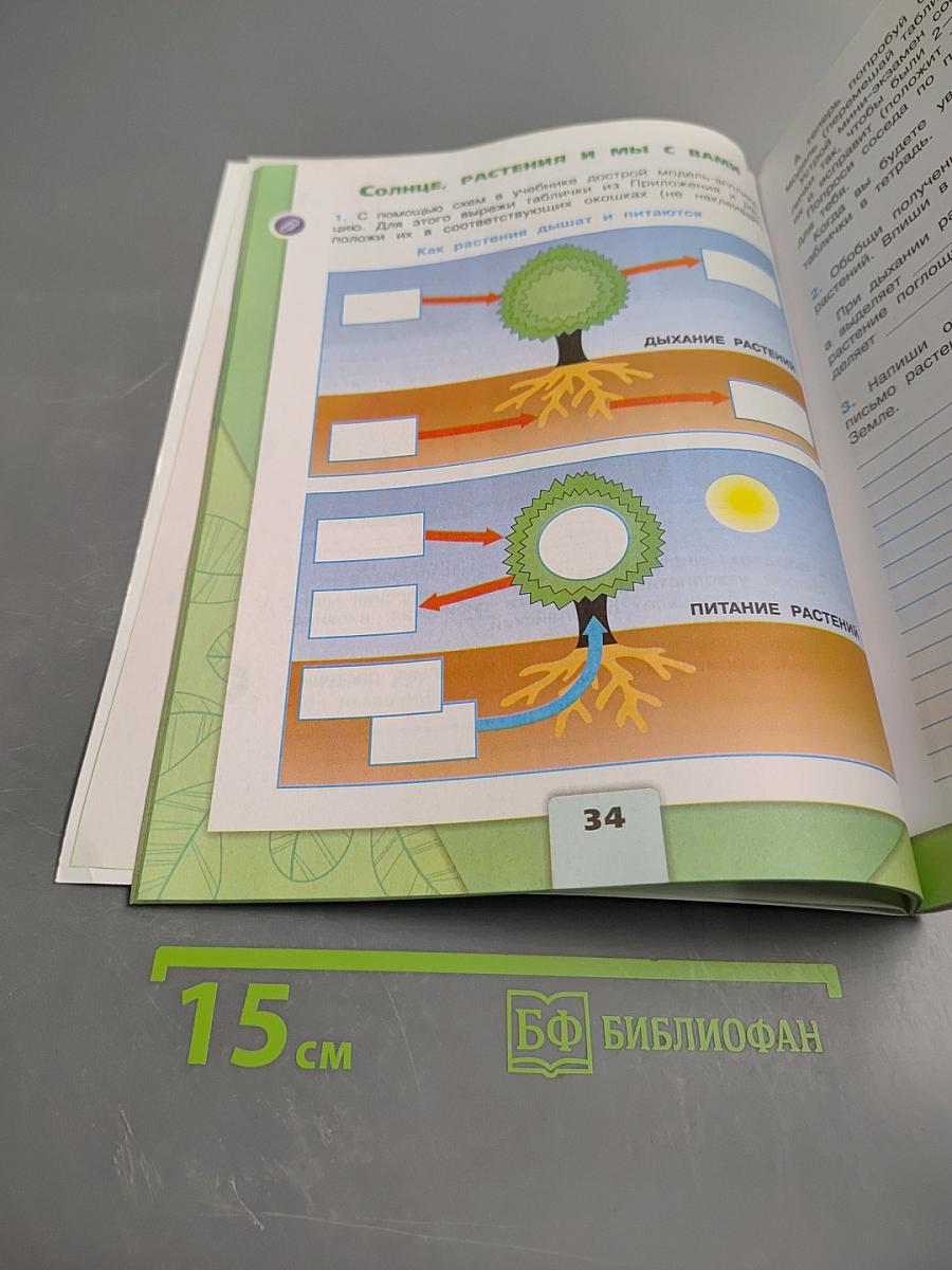 Окружающий мир. Рабочая тетрадь. 3 класс. Часть 1