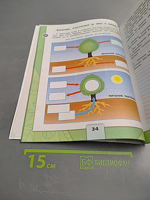 Окружающий мир. Рабочая тетрадь. 3 класс. Часть 1