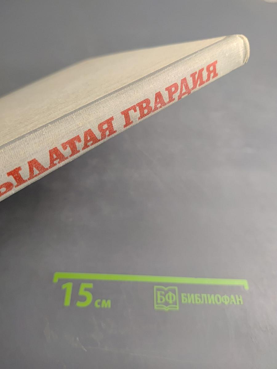 Крылатая гвардия