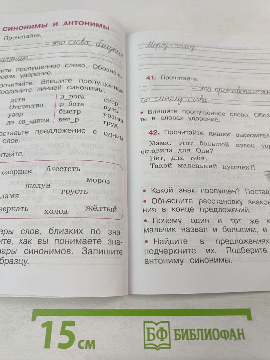 Русский язык. Рабочая тетрадь. 2 класс. Часть 1