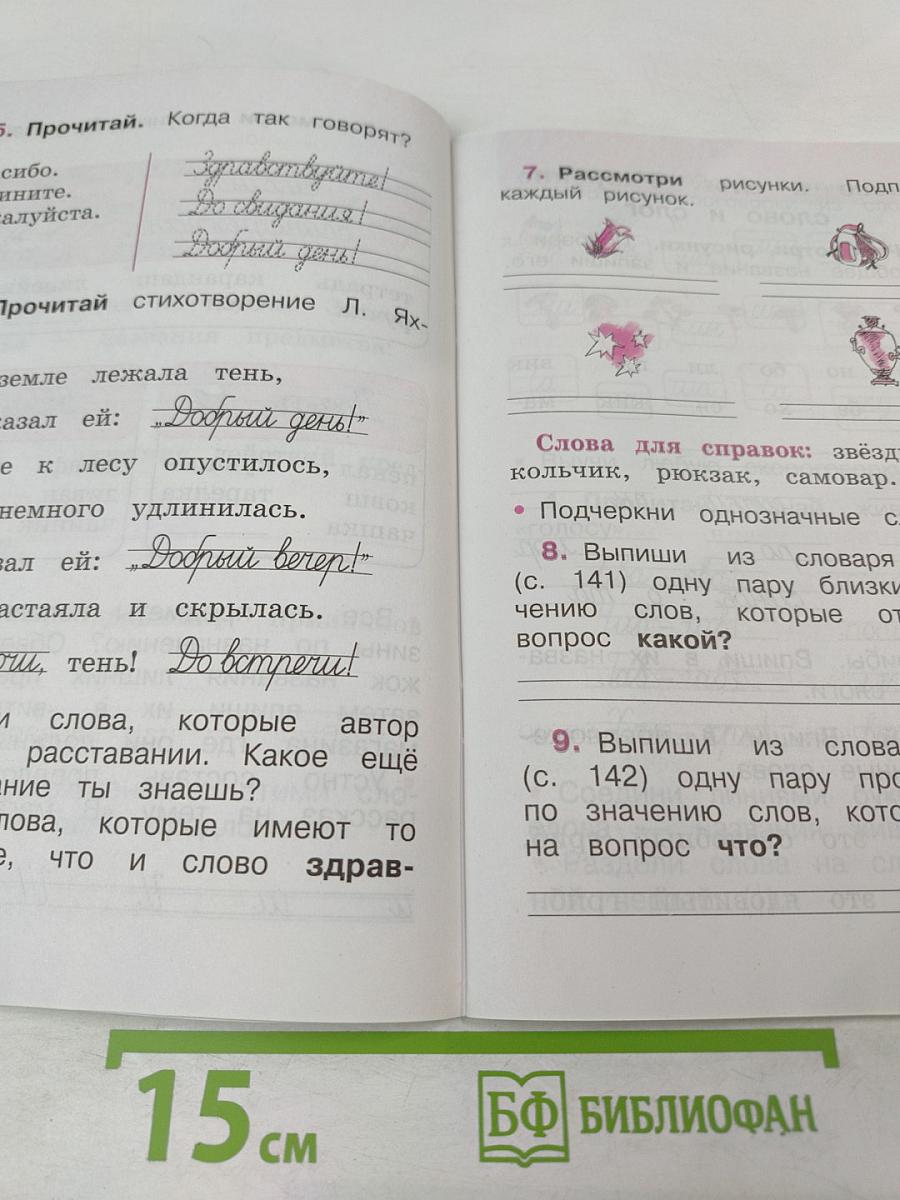 Русский язык. Рабочая тетрадь. 1 класс