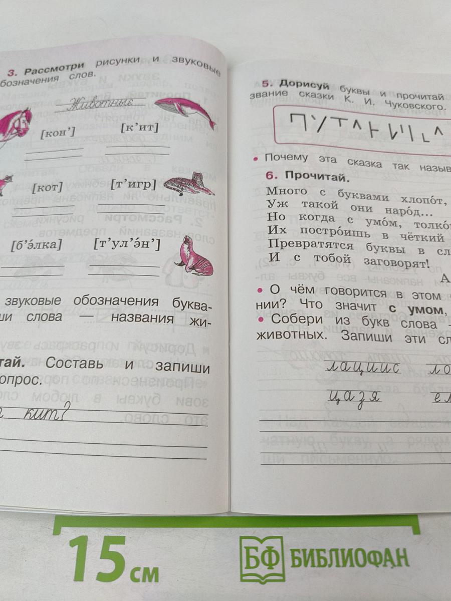 Русский язык. Рабочая тетрадь. 1 класс