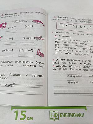 Русский язык. Рабочая тетрадь. 1 класс