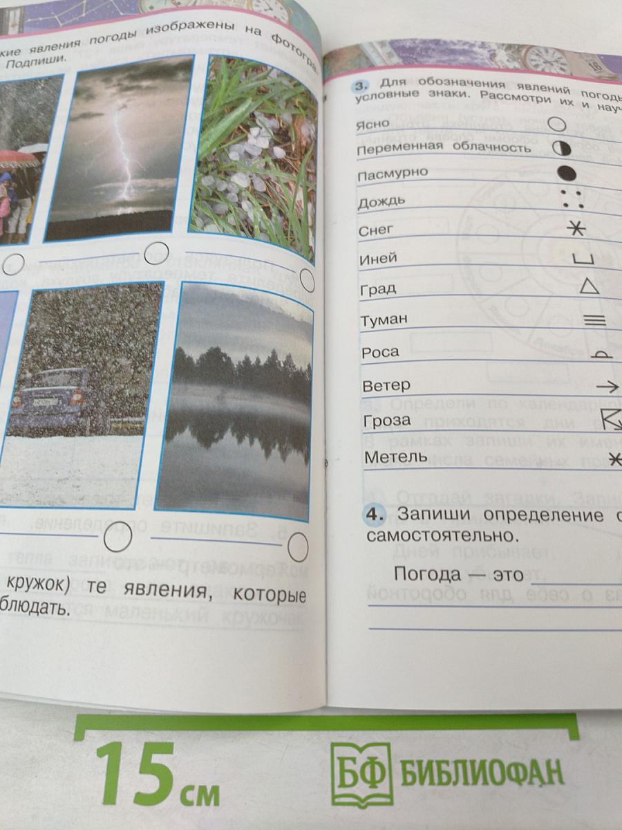 Окружающий мир. Рабочая тетрадь. 2 класс. Часть первая