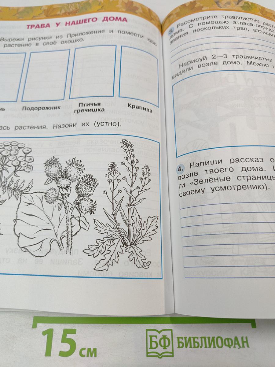 Окружающий мир. Рабочая тетрадь. 2 класс. Часть первая