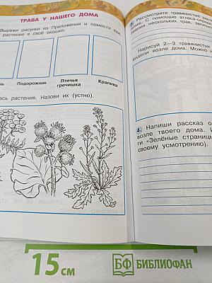 Окружающий мир. Рабочая тетрадь. 2 класс. Часть первая