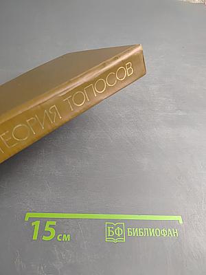 Теория топосов