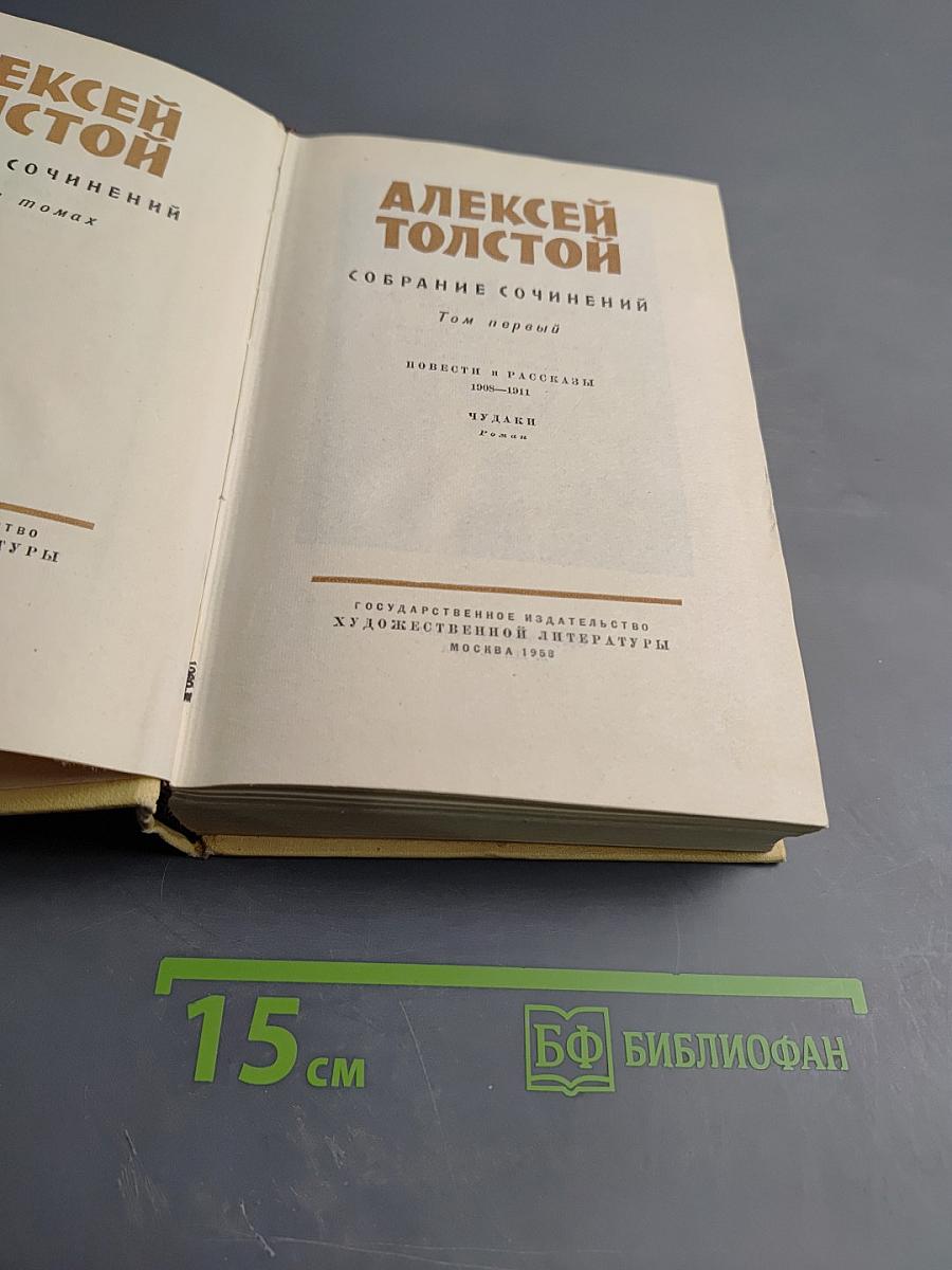 Собрание сочинений. Том первый: Повести и рассказы 1905-1911, Чудаки, Роман