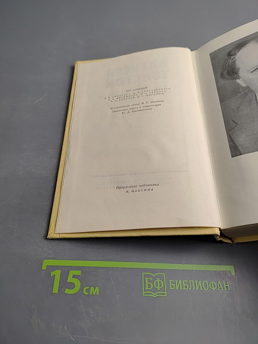 Собрание сочинений. Том первый: Повести и рассказы 1905-1911, Чудаки, Роман