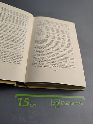 Собрание сочинений. Том первый: Повести и рассказы 1905-1911, Чудаки, Роман
