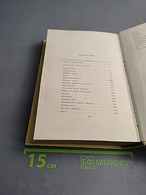 Собрание сочинений. Том первый: Повести и рассказы 1905-1911, Чудаки, Роман
