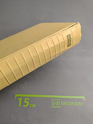 Собрание сочинений. Том первый: Повести и рассказы 1905-1911, Чудаки, Роман