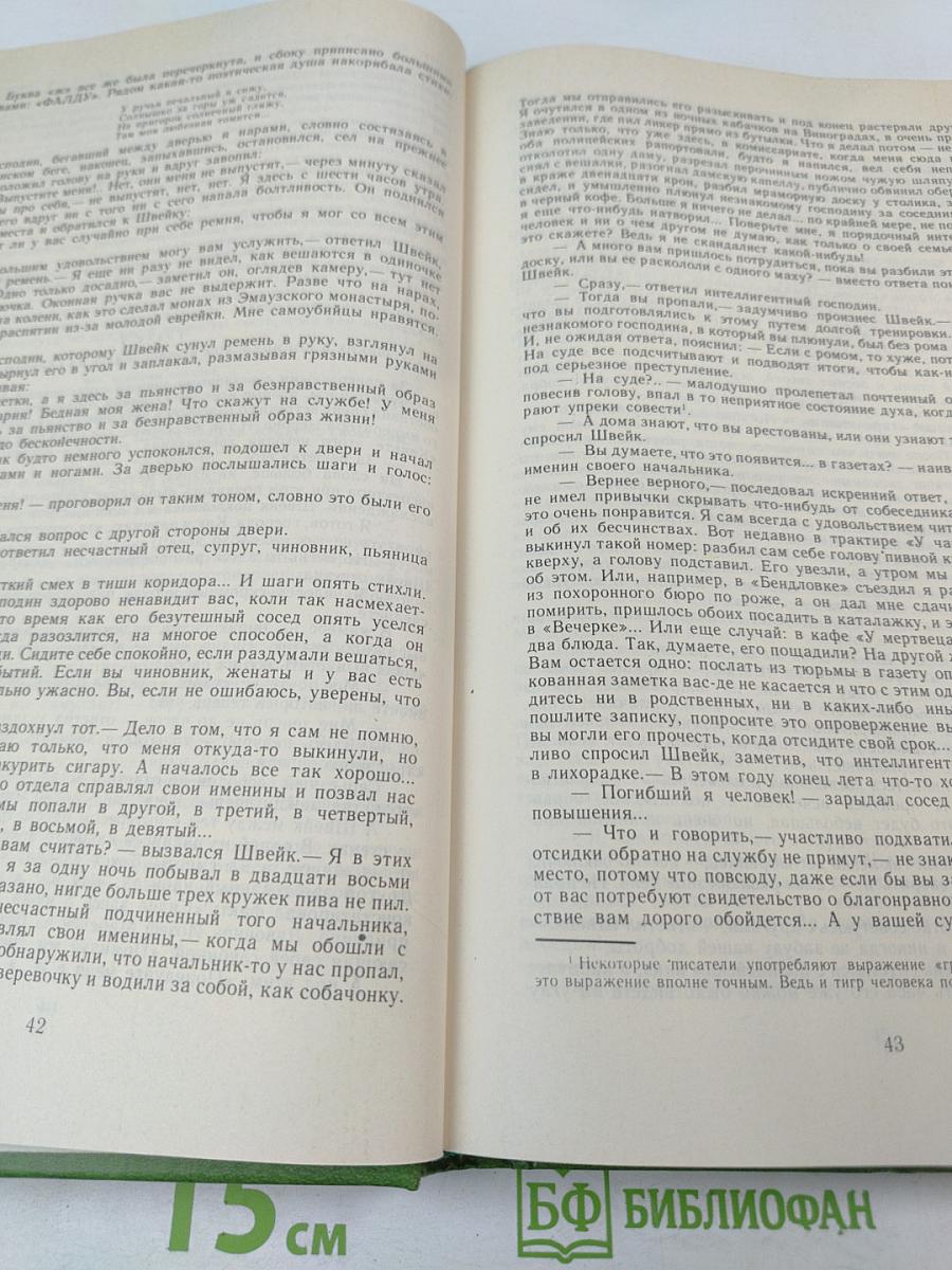 Похождения бравого солдата Швейка