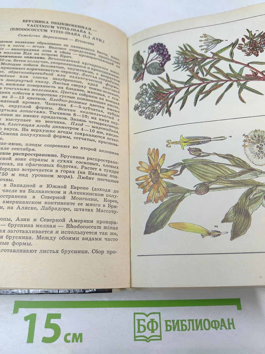 Лекарственные растения: Сбор, заготовка, применение