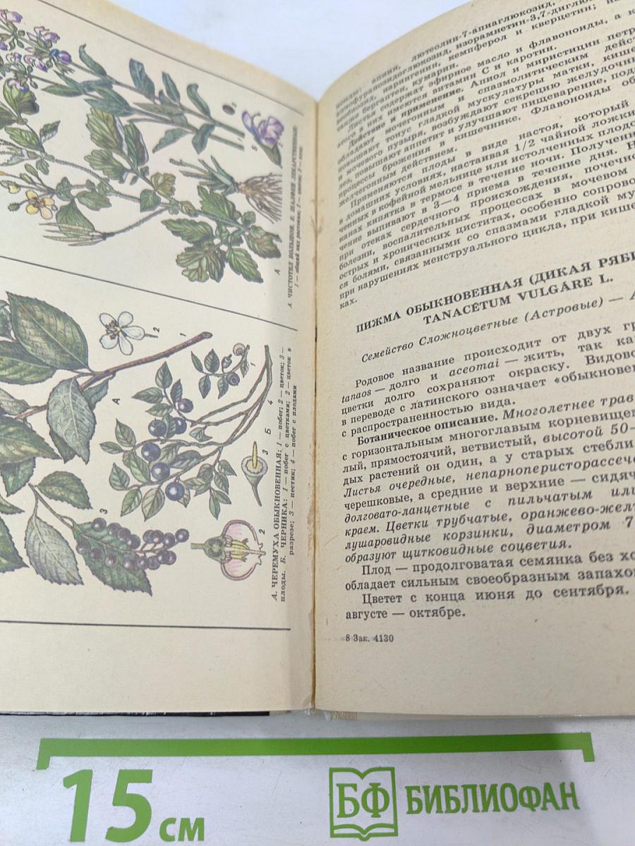 Лекарственные растения: Сбор, заготовка, применение