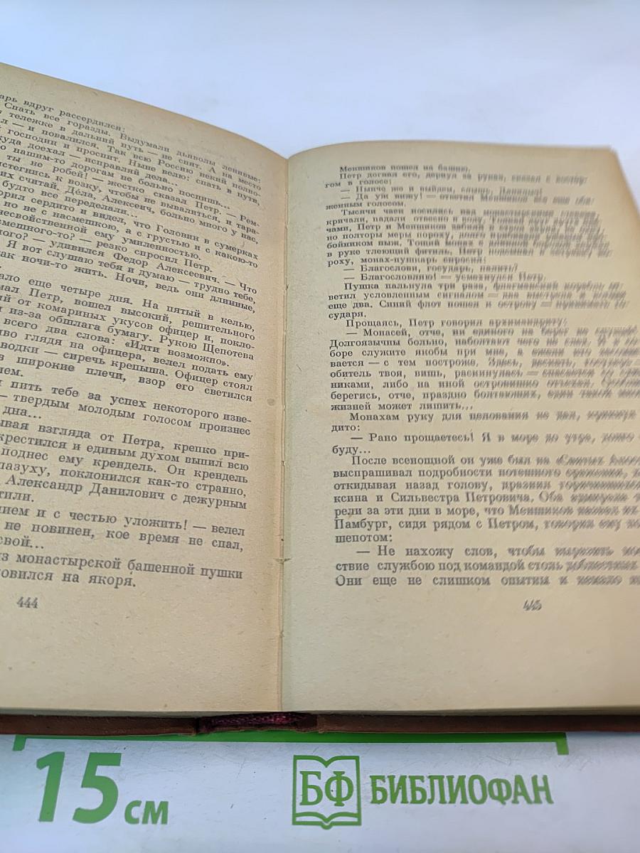 Россия молодая. Книга вторая