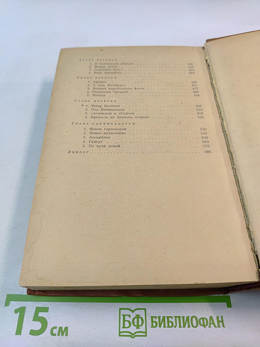 Россия молодая. Книга вторая