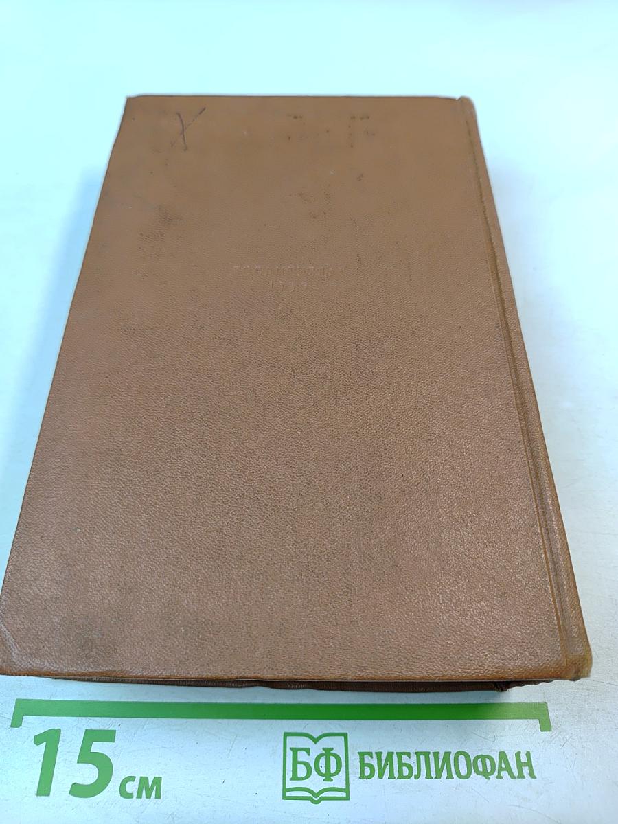 Россия молодая. Книга вторая