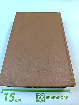 Россия молодая. Книга вторая