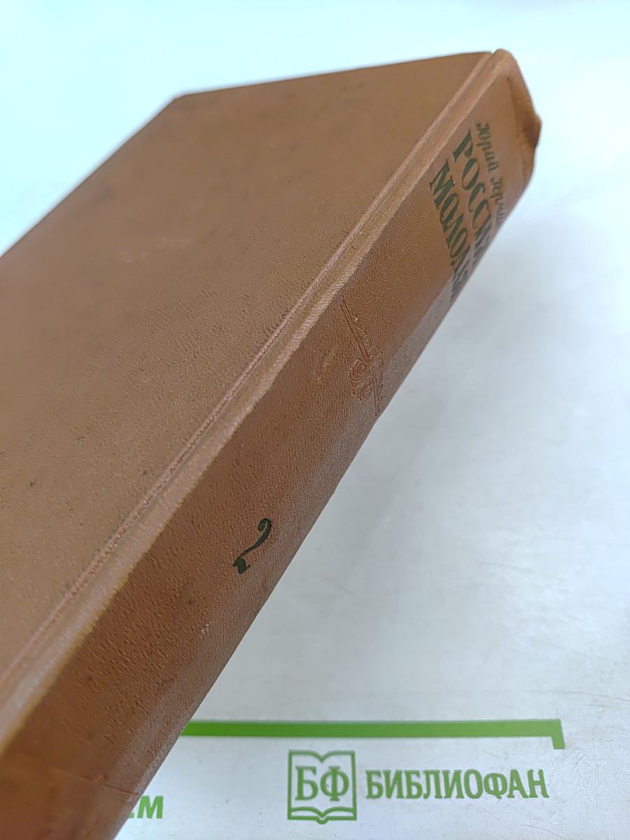 Россия молодая. Книга вторая