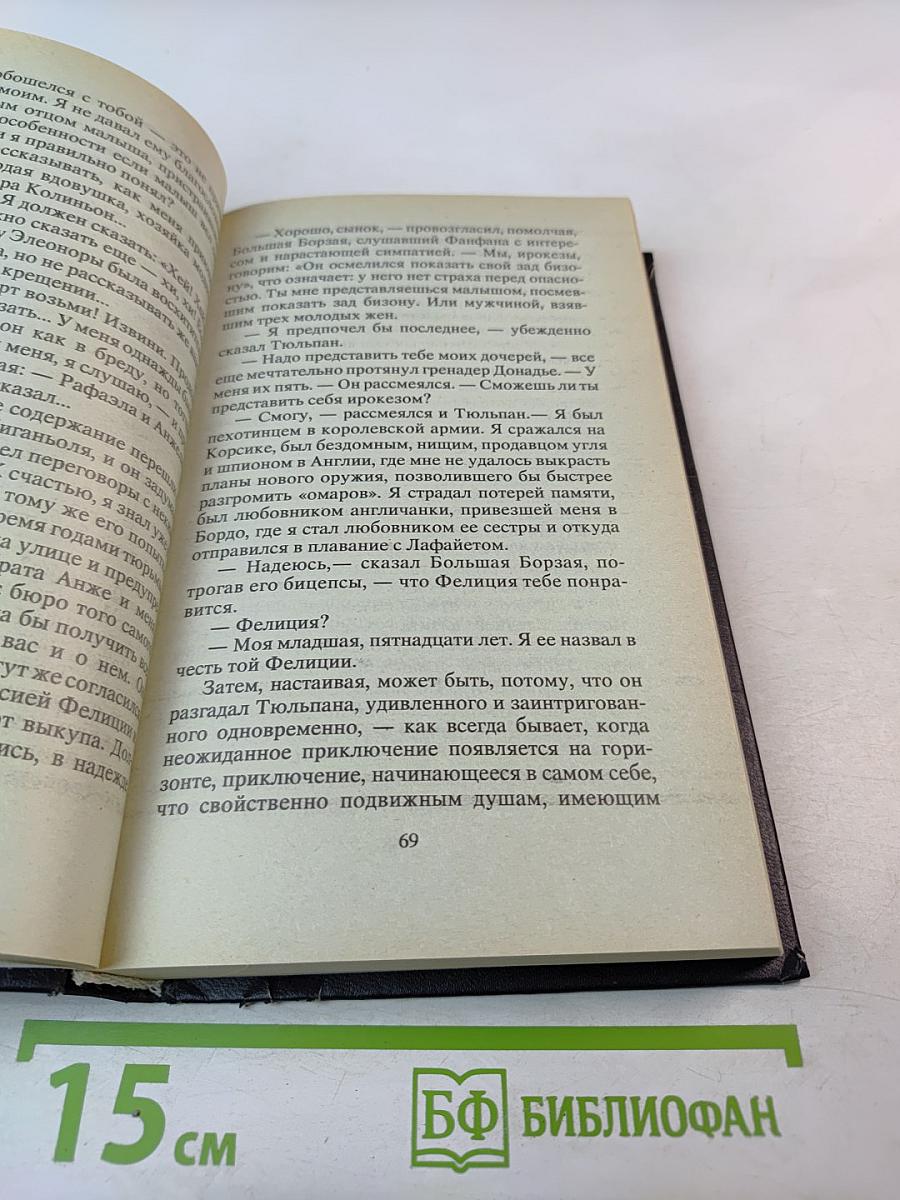 Невероятные приключения Фанфана-Тюльпана. Том 2. Фанфан и Лафайет