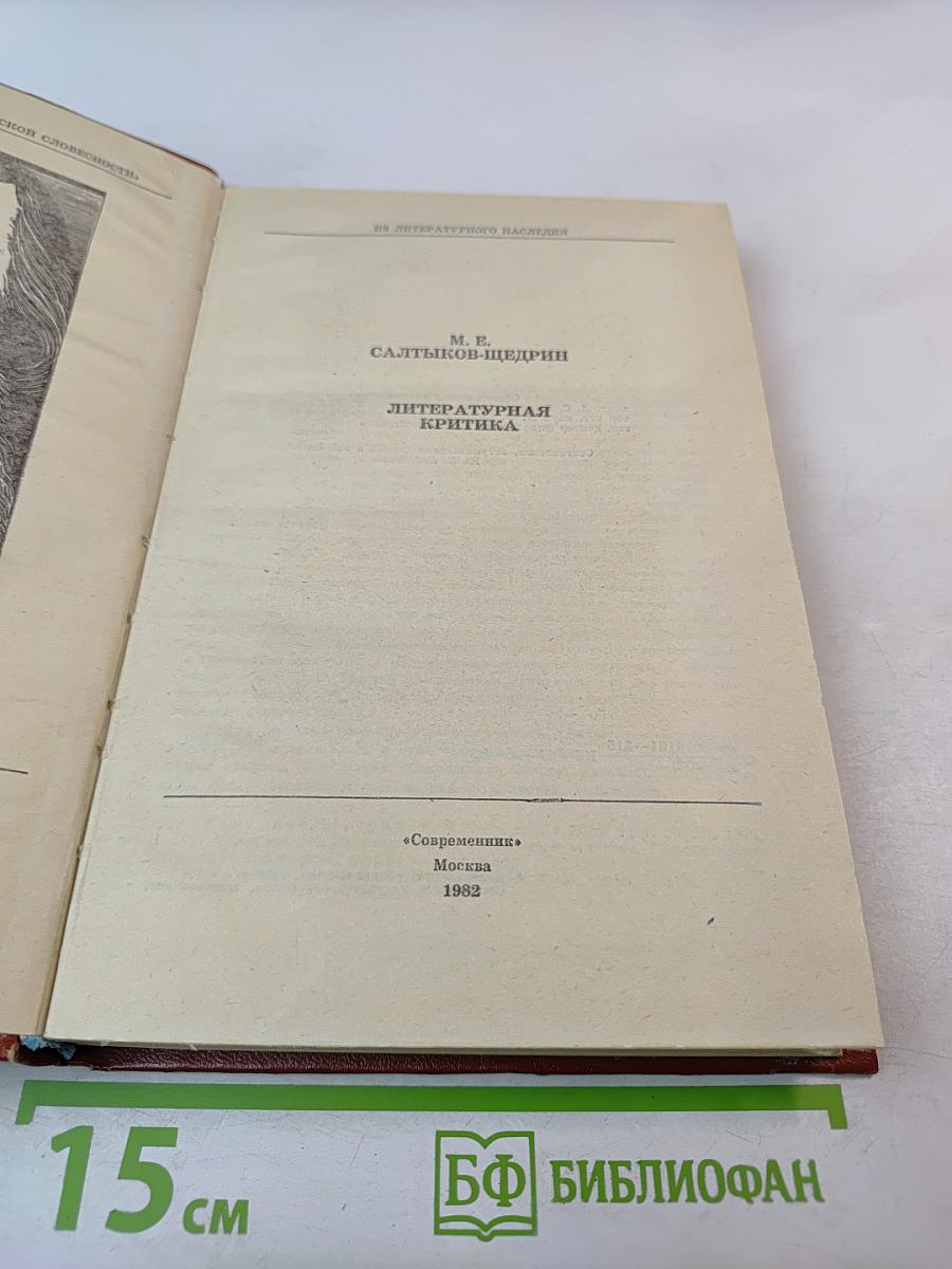 Литературная критика