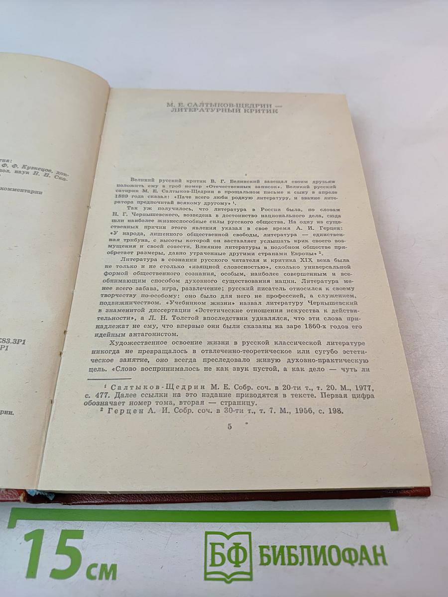 Литературная критика